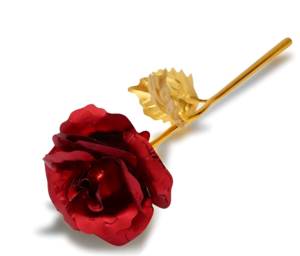 24K Gold red rose